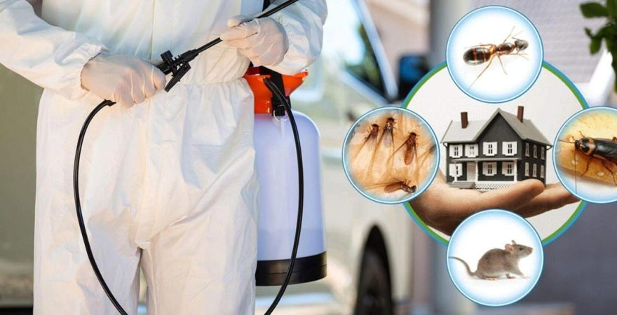 Yenimahalle Böcek İlaçlama