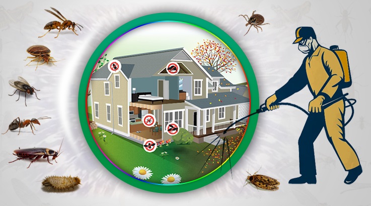 Yenimahalle Böcek İlaçlama