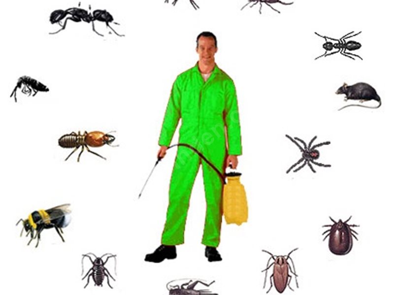 Yenimahalle Böcek İlaçlama